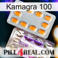 Kamagra 100 new12